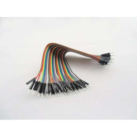 40Pin Dual Male Splittable Jumper Wire - 200mm (ER-PCW02040B)