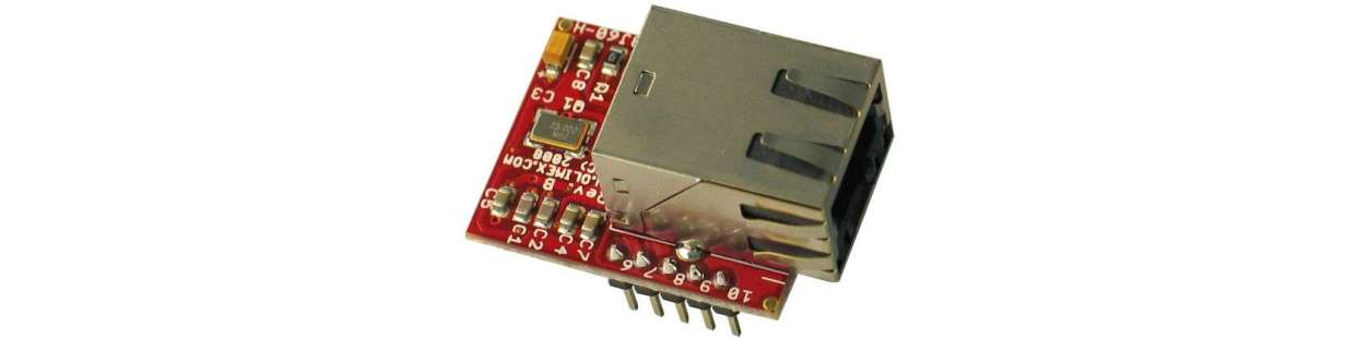Ethernet module